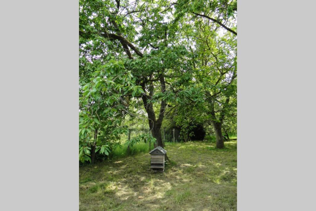Miller'S Farm. Cottage On The Auhtie For 2 Hem-Hardinval Exteriér fotografie